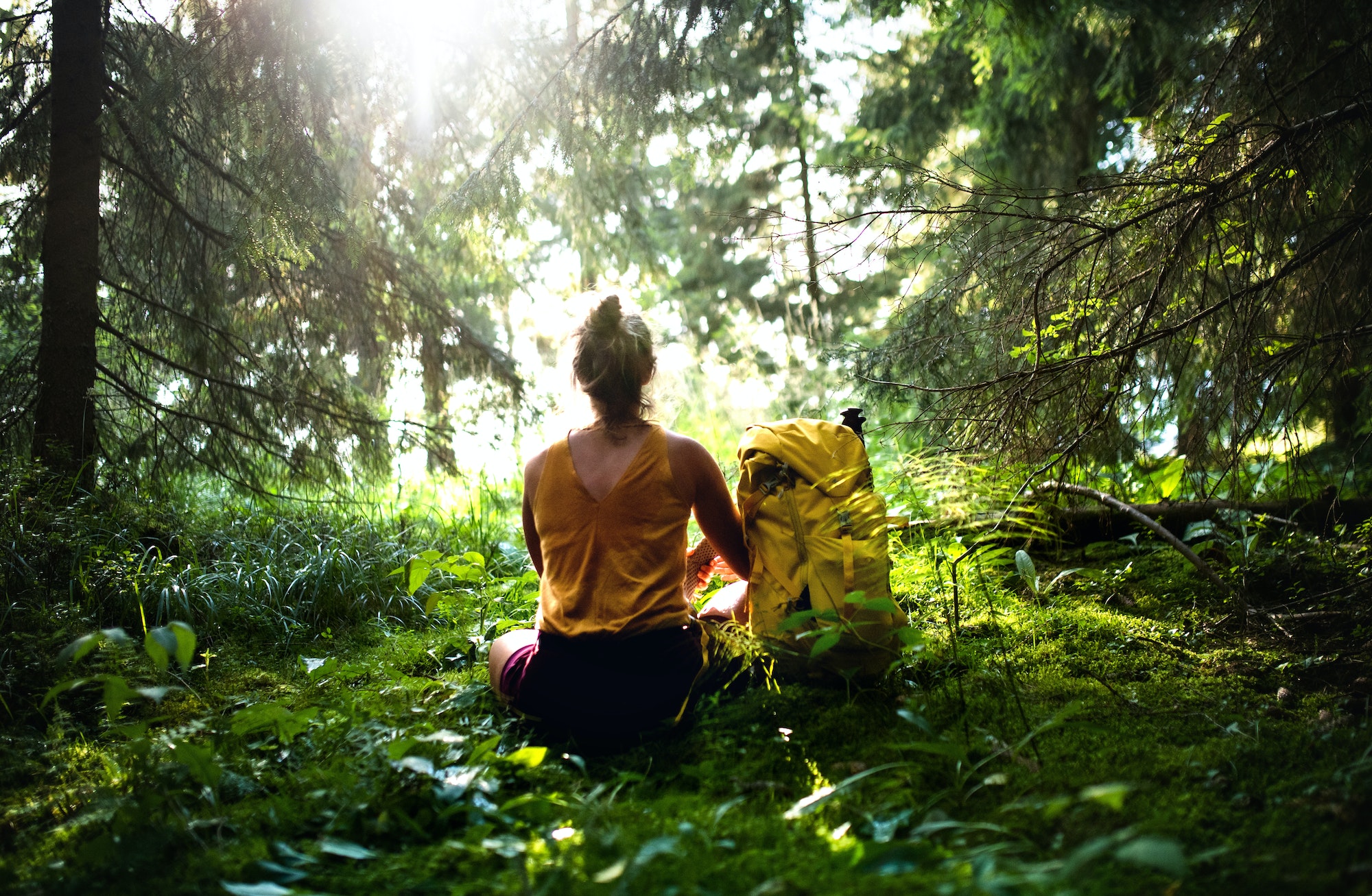 Rear view of woman hiker sitting on the ground outdoors in forest, resting.